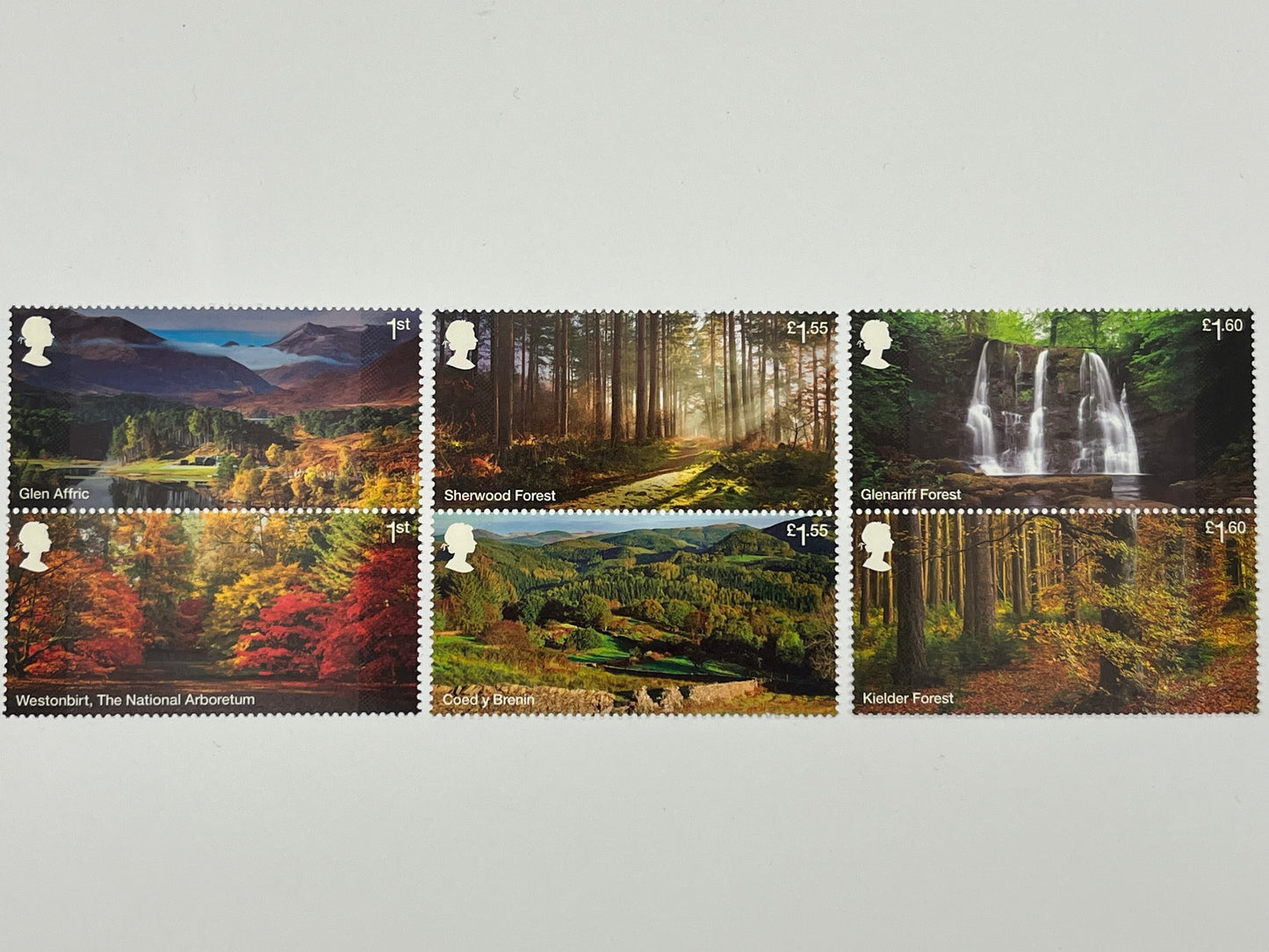 Forests • Set of 6 Stamps