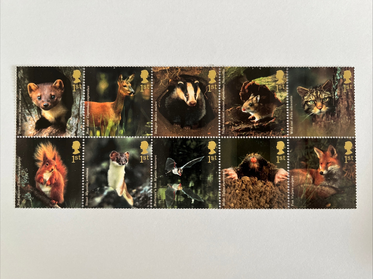 10 1st Class Stamps Woodland Animals