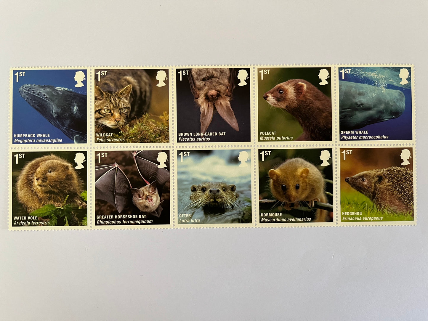 10 1st Class Stamps • Choose what you like