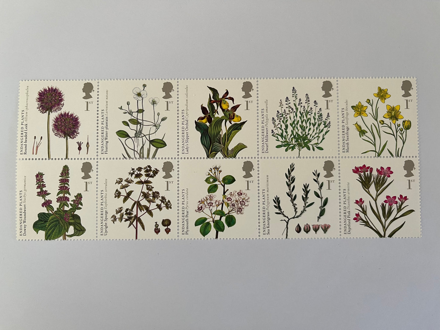 10 1st Class Stamps • Choose what you like