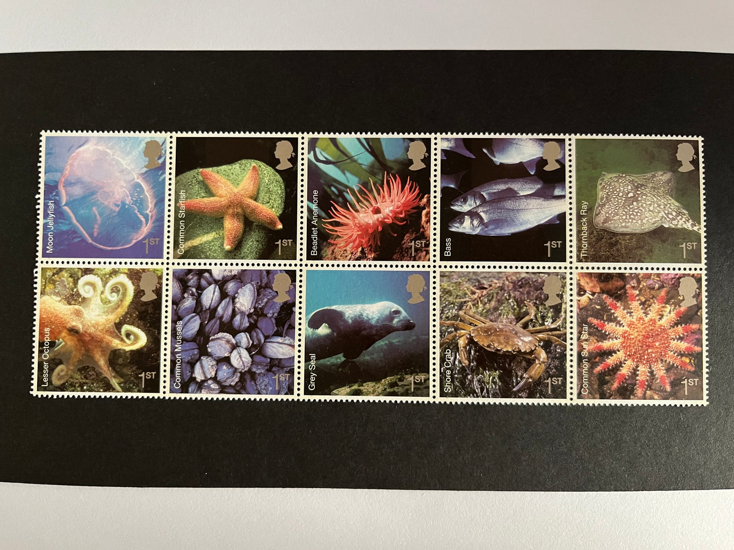 10 1st Class Stamps • Choose what you like