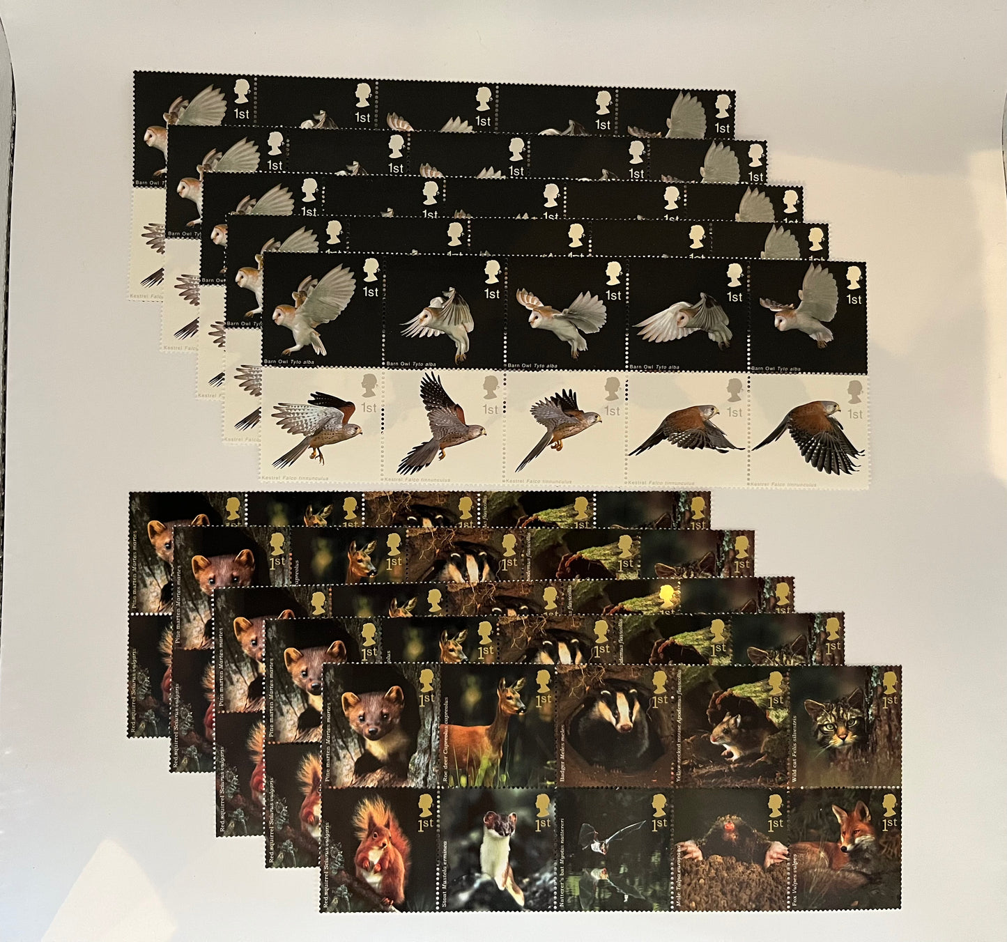 500 1st Class Postage Stamps